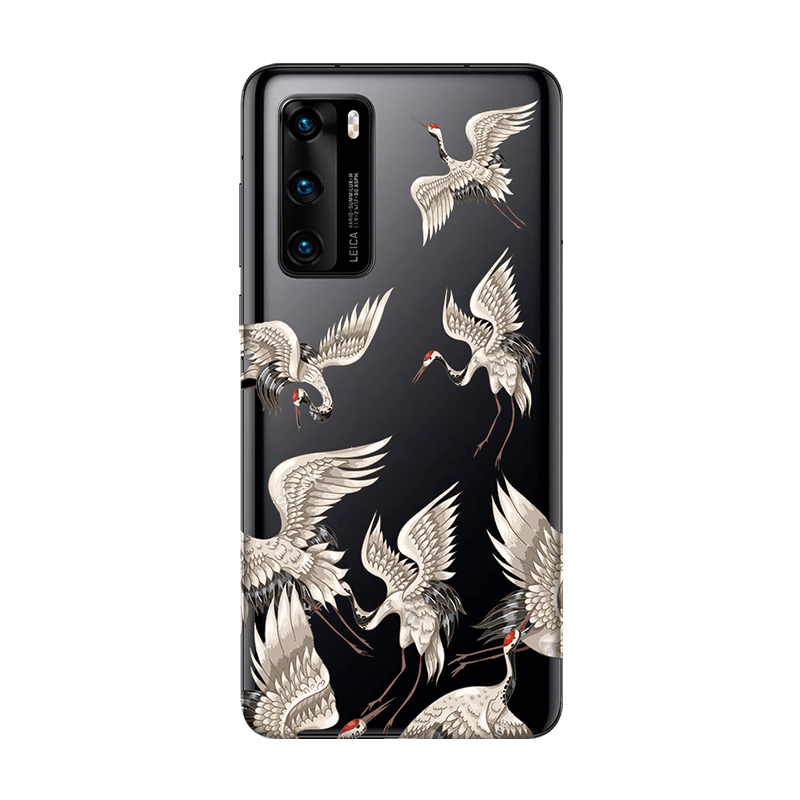 Защитная гидрогелевая плёнка (Птицы)